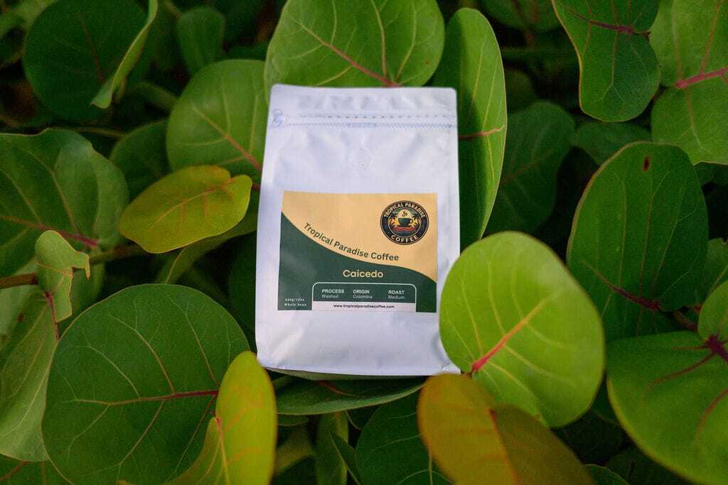 Caicedo Washed - Medium Roast Whole Bean Coffee - 340g (12oz)